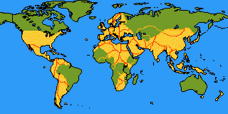 world map