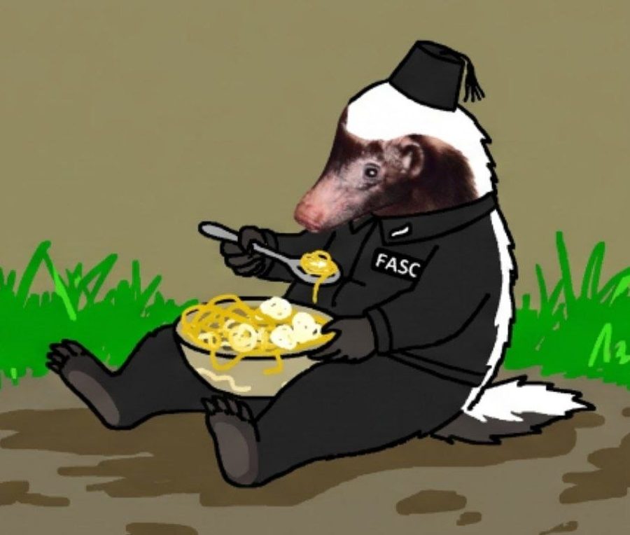 badger eating