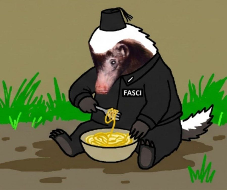 badger eating